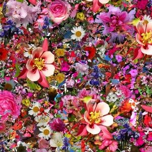 Like something? Make me an offer, I can make bundles. Let me know!